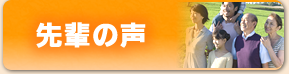 先輩の声